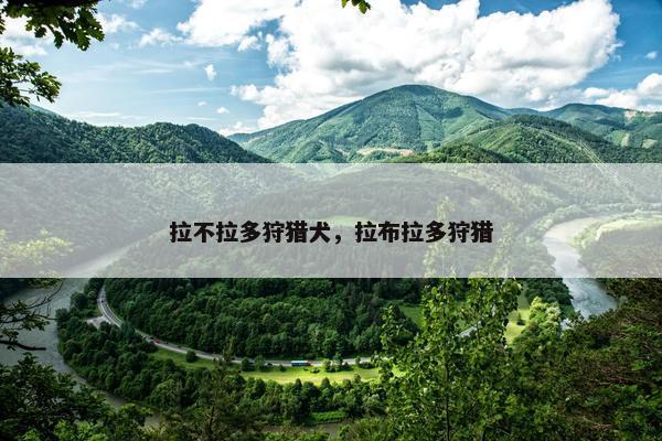 拉不拉多狩猎犬，拉布拉多狩猎