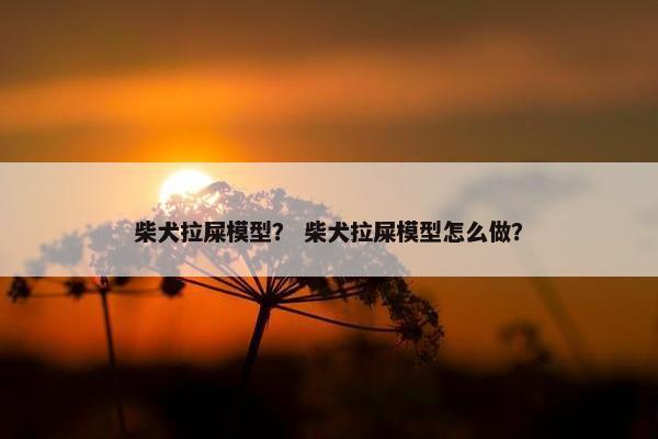 柴犬拉屎模型？ 柴犬拉屎模型怎么做？