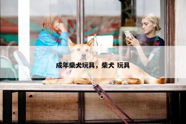 成年柴犬玩具，柴犬 玩具