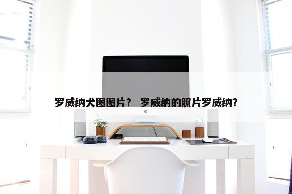 罗威纳犬图图片？ 罗威纳的照片罗威纳？