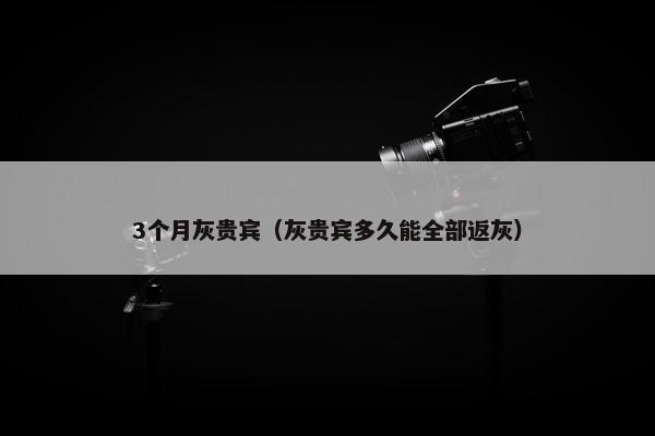3个月灰贵宾（灰贵宾多久能全部返灰）