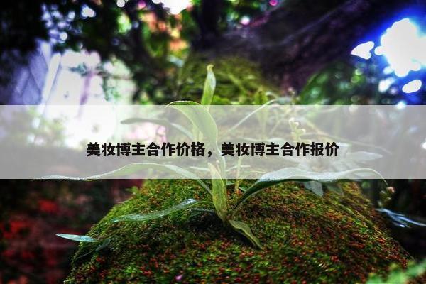 美妆博主合作价格，美妆博主合作报价