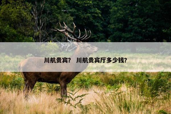 川航贵宾？ 川航贵宾厅多少钱？