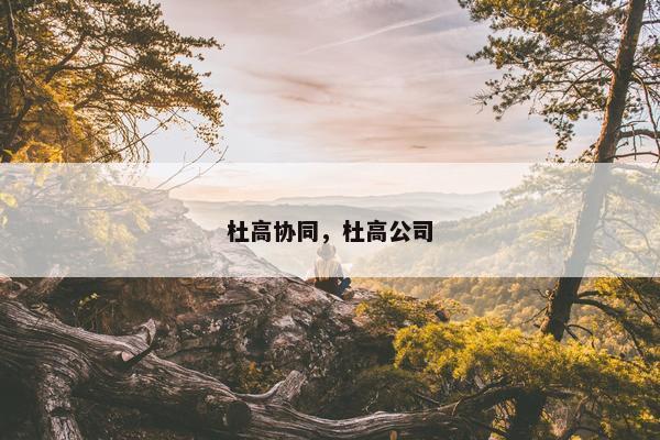 杜高协同，杜高公司