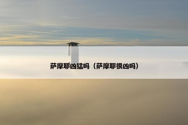 萨摩耶凶猛吗（萨摩耶很凶吗）
