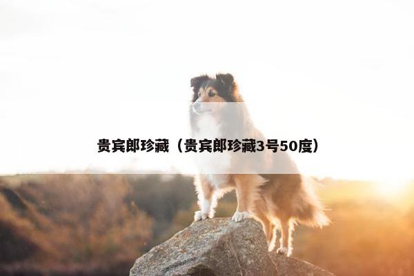 贵宾郎珍藏（贵宾郎珍藏3号50度）