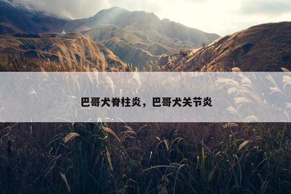 巴哥犬脊柱炎，巴哥犬关节炎