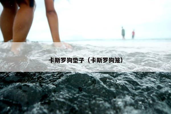 卡斯罗狗垫子（卡斯罗狗笼）