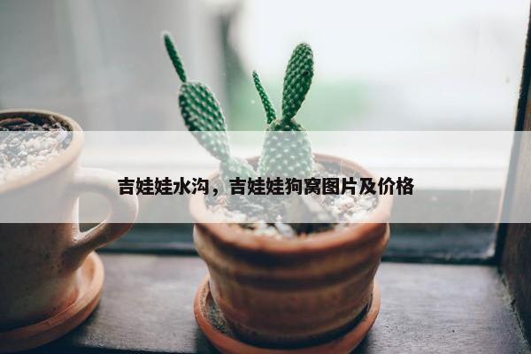 吉娃娃水沟，吉娃娃狗窝图片及价格