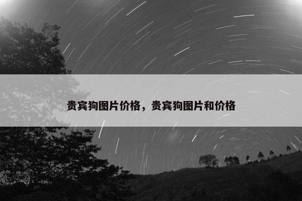 贵宾狗图片价格，贵宾狗图片和价格
