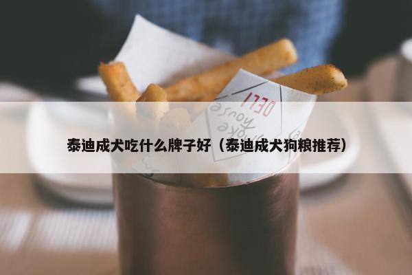 泰迪成犬吃什么牌子好（泰迪成犬狗粮推荐）