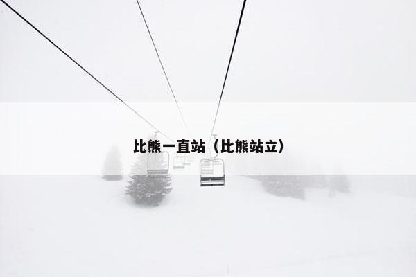 比熊一直站（比熊站立）