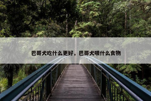 巴哥犬吃什么更好，巴哥犬喂什么食物