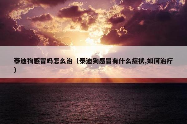 泰迪狗感冒吗怎么治（泰迪狗感冒有什么症状,如何治疗）