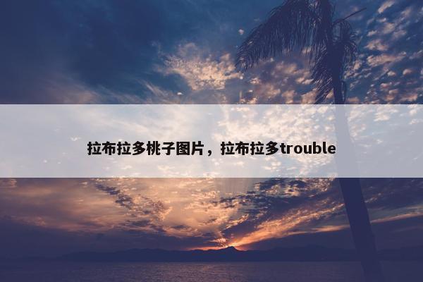 拉布拉多桃子图片，拉布拉多trouble