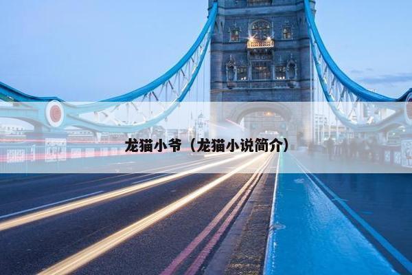 龙猫小爷（龙猫小说简介）