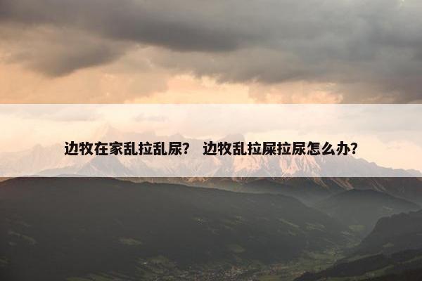 边牧在家乱拉乱尿？ 边牧乱拉屎拉尿怎么办？