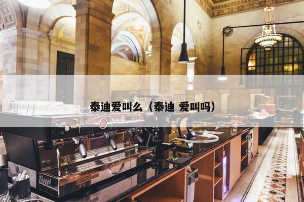 泰迪爱叫么（泰迪 爱叫吗）