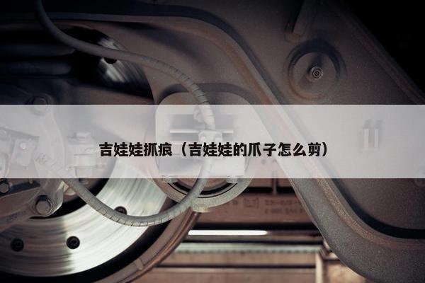 吉娃娃抓痕（吉娃娃的爪子怎么剪）