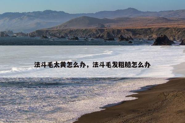 法斗毛太黄怎么办，法斗毛发粗糙怎么办