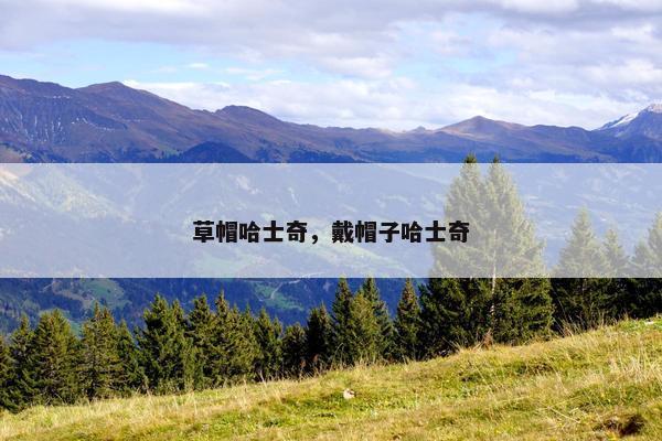 草帽哈士奇，戴帽子哈士奇