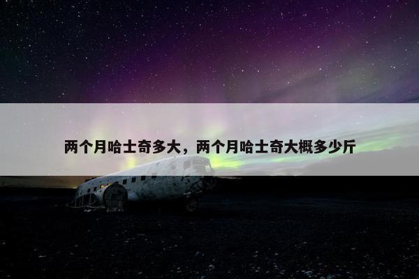 两个月哈士奇多大，两个月哈士奇大概多少斤