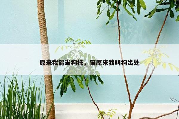 原来我能当狗托，猫原来我叫狗出处