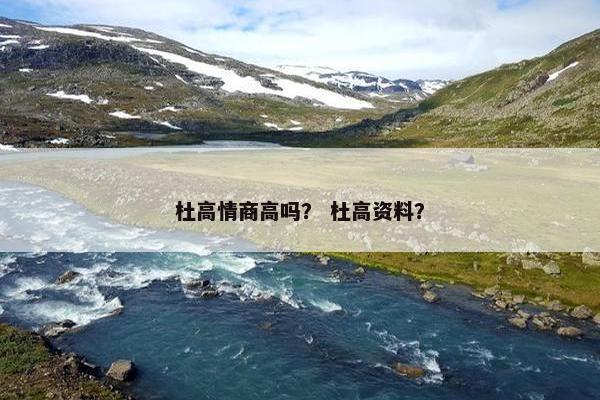 杜高情商高吗？ 杜高资料？