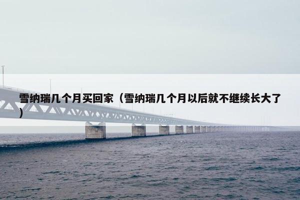 雪纳瑞几个月买回家（雪纳瑞几个月以后就不继续长大了）