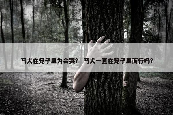 马犬在笼子里为会哭？ 马犬一直在笼子里面行吗？