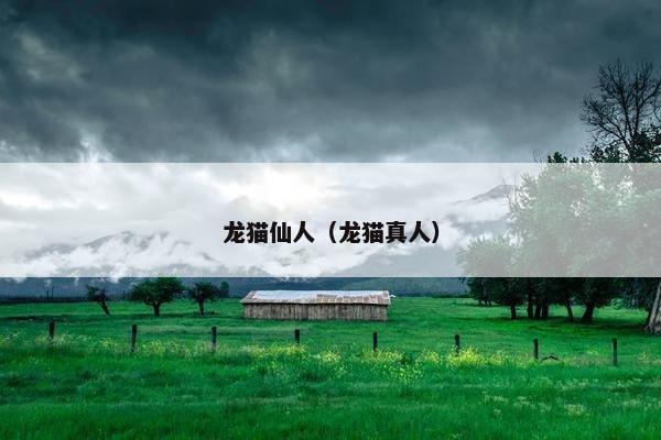 龙猫仙人（龙猫真人）
