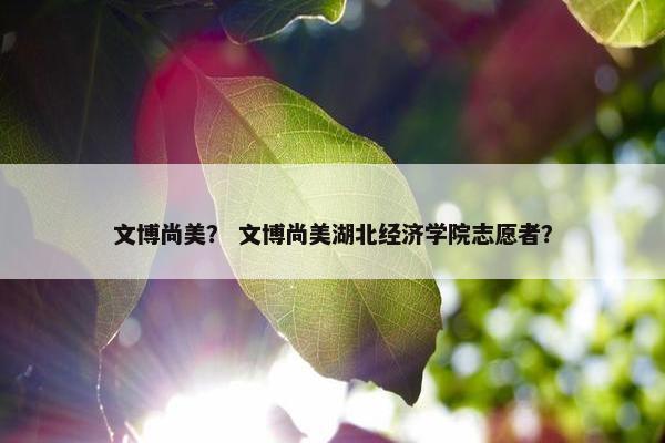 文博尚美？ 文博尚美湖北经济学院志愿者？