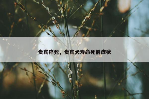 贵宾猝死，贵宾犬寿命死前症状