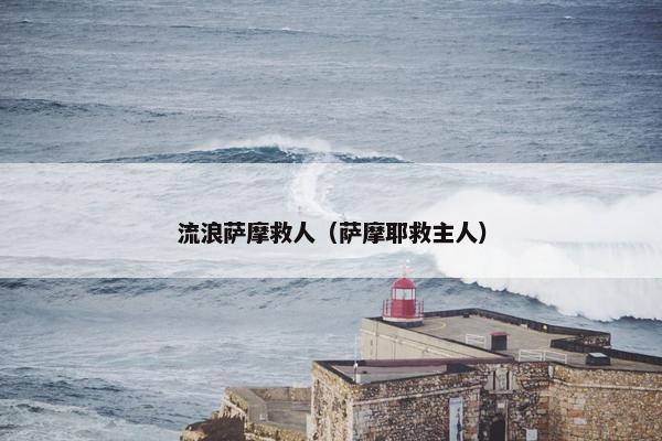 流浪萨摩救人（萨摩耶救主人）