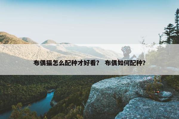 布偶猫怎么配种才好看？ 布偶如何配种？