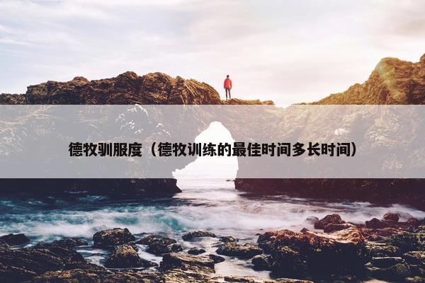 德牧驯服度（德牧训练的最佳时间多长时间）
