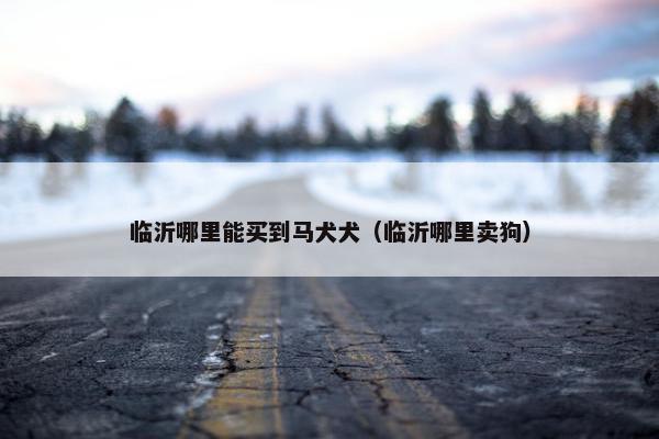 临沂哪里能买到马犬犬（临沂哪里卖狗）
