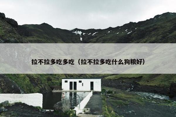 拉不拉多吃多吃（拉不拉多吃什么狗粮好）