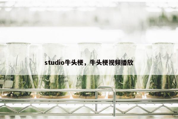 studio牛头梗，牛头梗视频播放