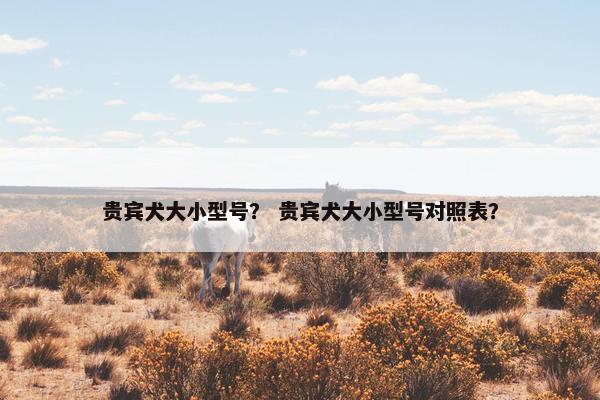 贵宾犬大小型号？ 贵宾犬大小型号对照表？