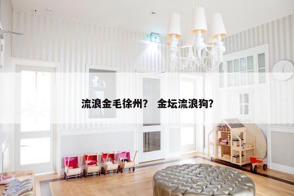 流浪金毛徐州？ 金坛流浪狗？