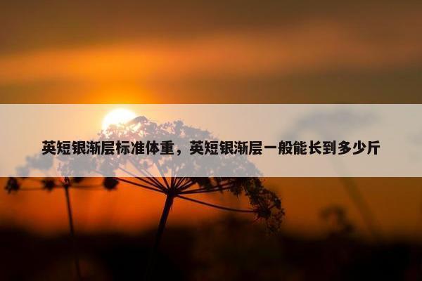 英短银渐层标准体重，英短银渐层一般能长到多少斤
