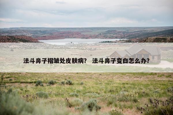 法斗鼻子褶皱处皮肤病？ 法斗鼻子变白怎么办？
