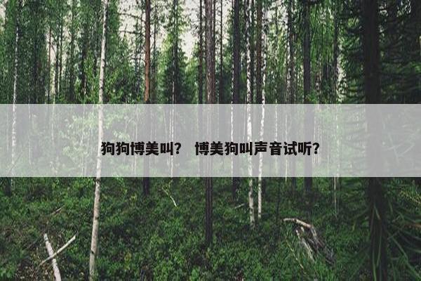 狗狗博美叫？ 博美狗叫声音试听？