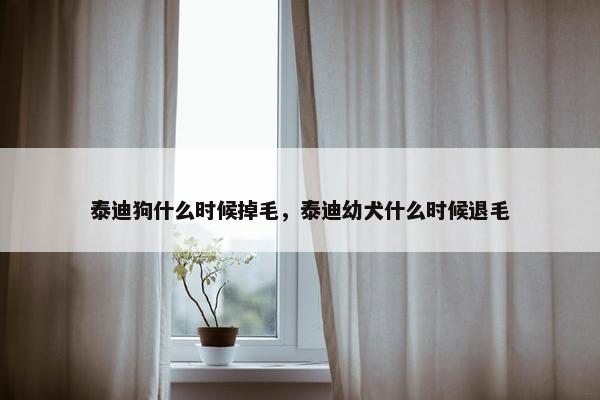 泰迪狗什么时候掉毛，泰迪幼犬什么时候退毛