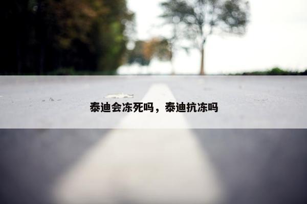 泰迪会冻死吗，泰迪抗冻吗