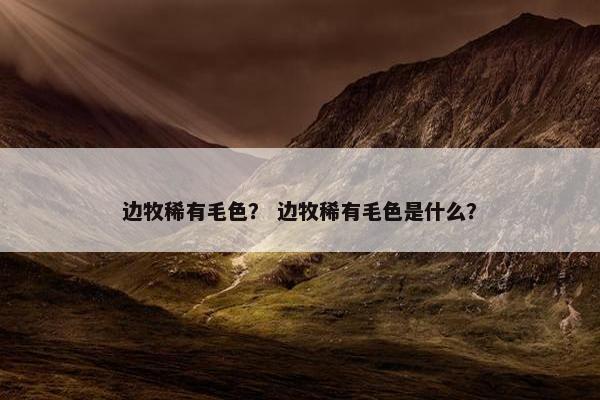 边牧稀有毛色？ 边牧稀有毛色是什么？