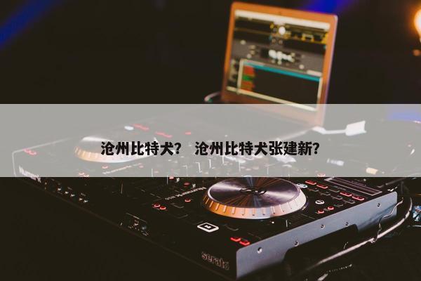 沧州比特犬？ 沧州比特犬张建新？