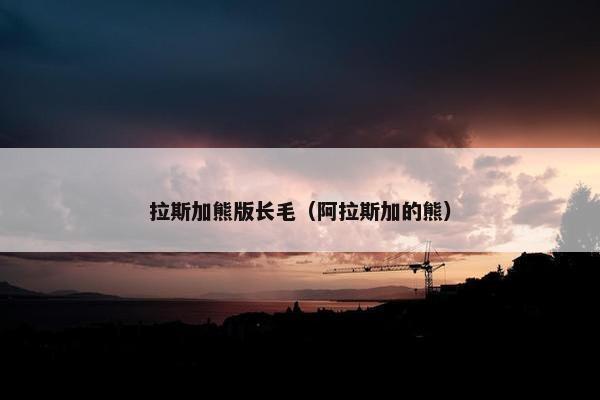 拉斯加熊版长毛（阿拉斯加的熊）