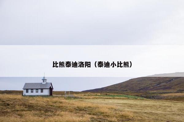 比熊泰迪洛阳（泰迪小比熊）